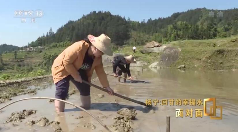 最美村官为百姓谋幸福,大学生村官为了脱贫卖掉婚房