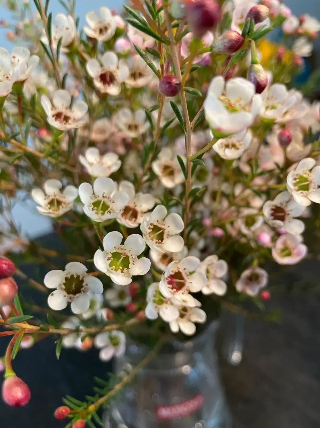 新手必看鲜花养护攻略,鲜花在水里能养几天会死