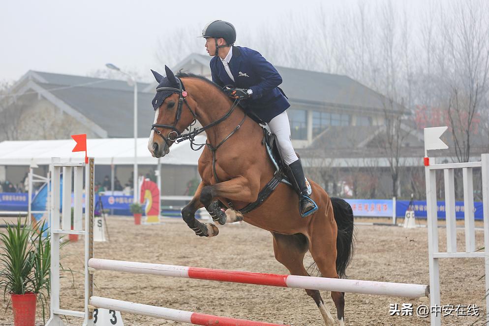 2022年安徽省青少年马术锦标赛暨第一届全国学生（青年）运动会马术运动资格选拔赛开幕