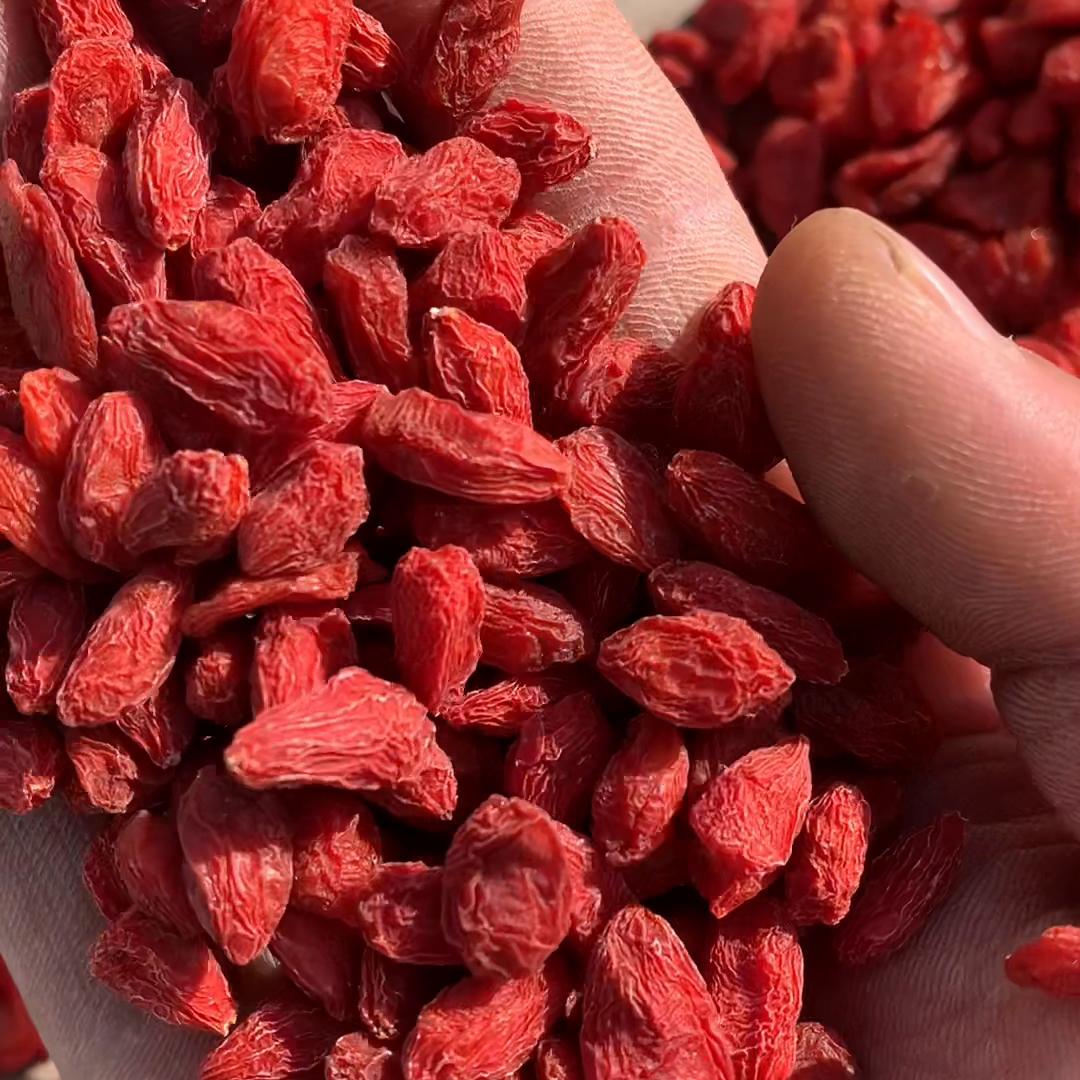 三种枸杞今天给你们讲清楚，你喜欢哪个枸杞#农村守护人