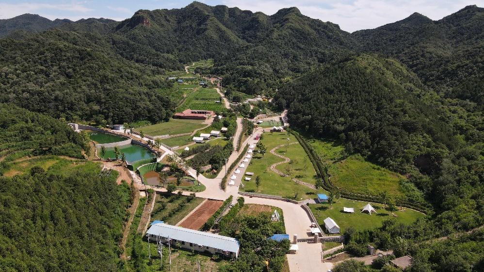 万达酒店未来5年计划,万达酒店发展主要业务