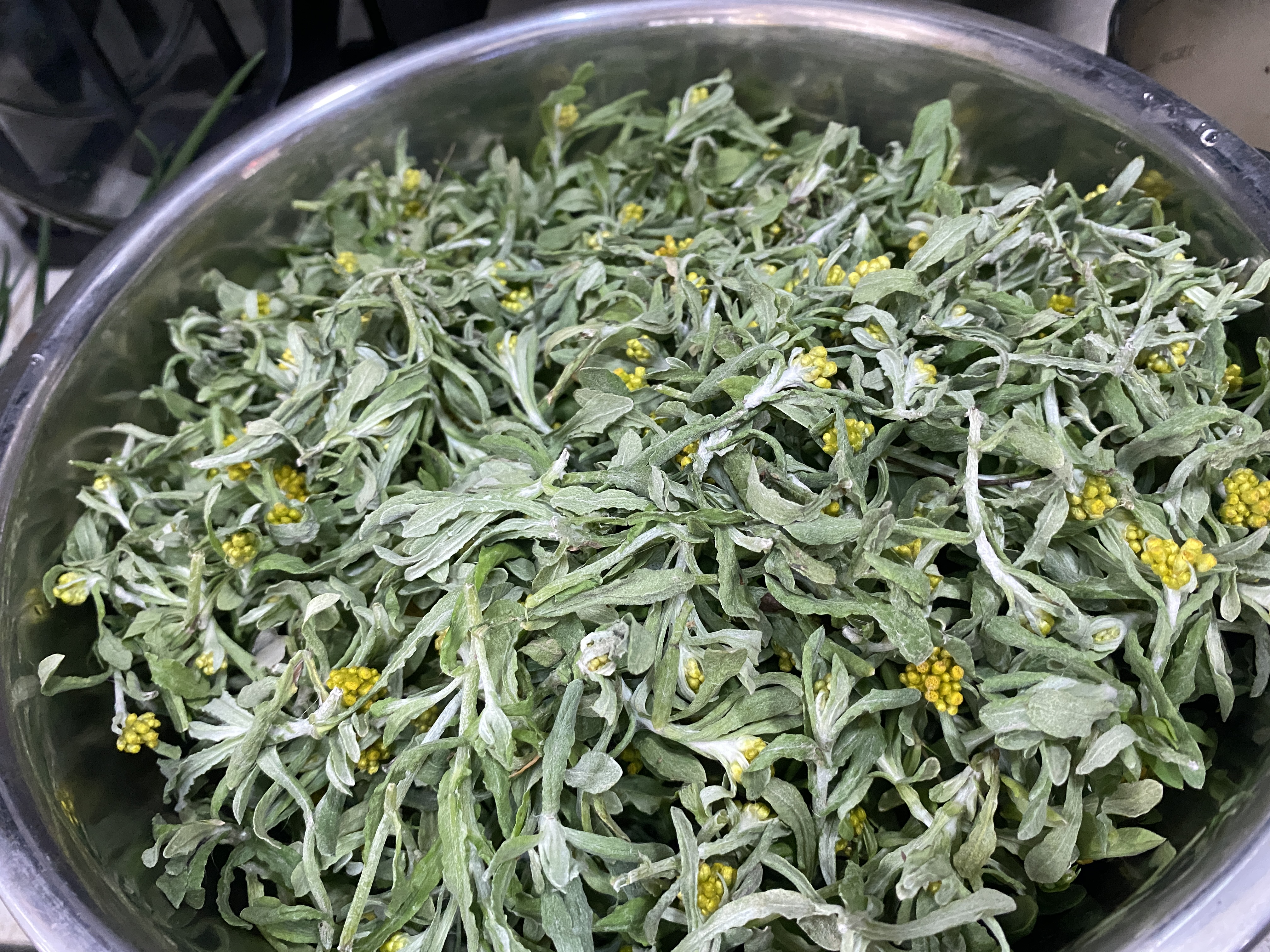 2023年闰月清明节上坟要提前吗,闰月清明节上坟有讲究吗