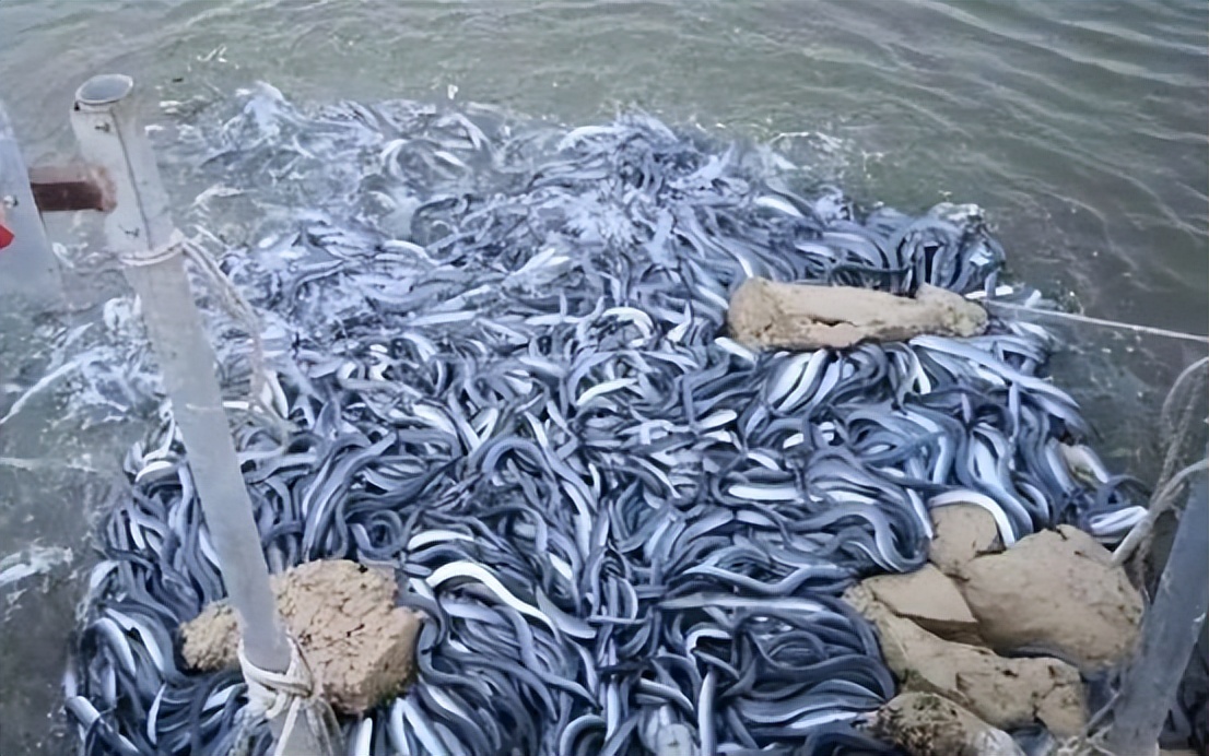 这么猛，跑到东莞疯狂开店，开进东莞松山湖科技中心