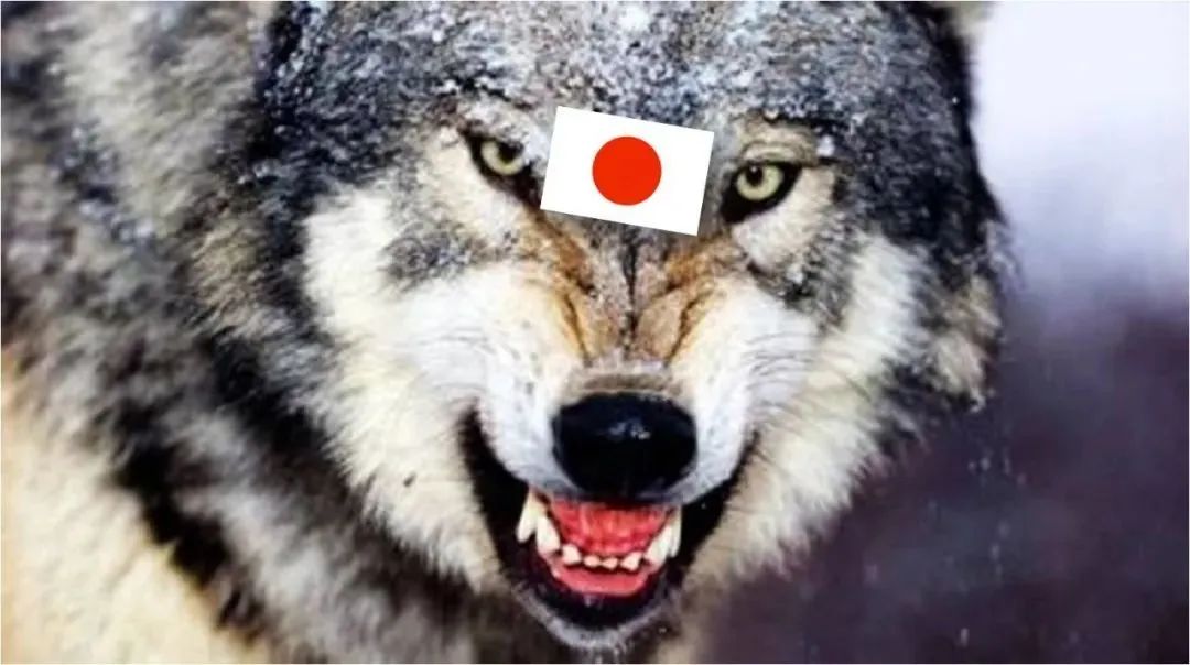 铭记历史，缅怀先烈。从公元663年到1937年：日本千年侵华史