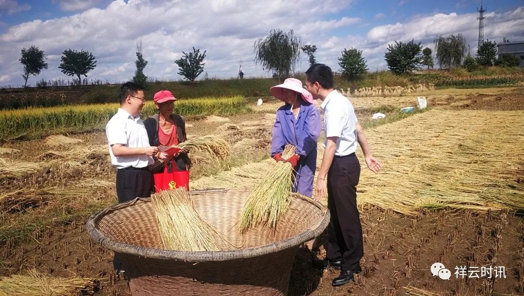 乡村振兴信用贷,信贷产品助力乡村振兴工作