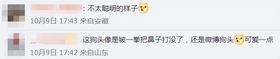 腾讯微信有新“狗头”表情了?这设计有点欠揍