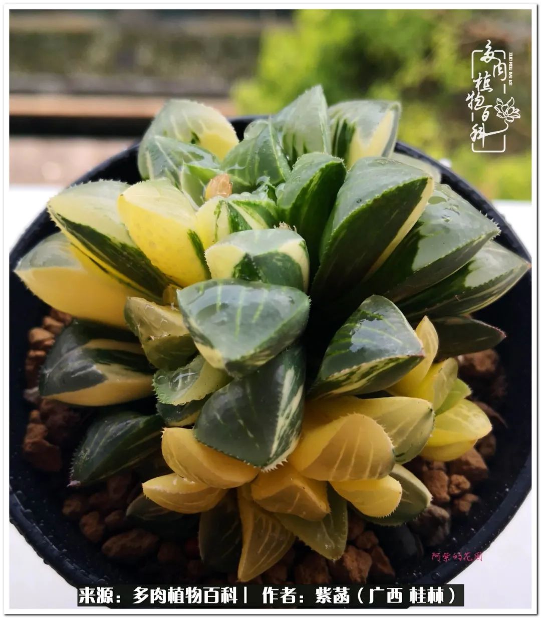 酷暑送清凉关爱入心田,酷暑慰问暖人心