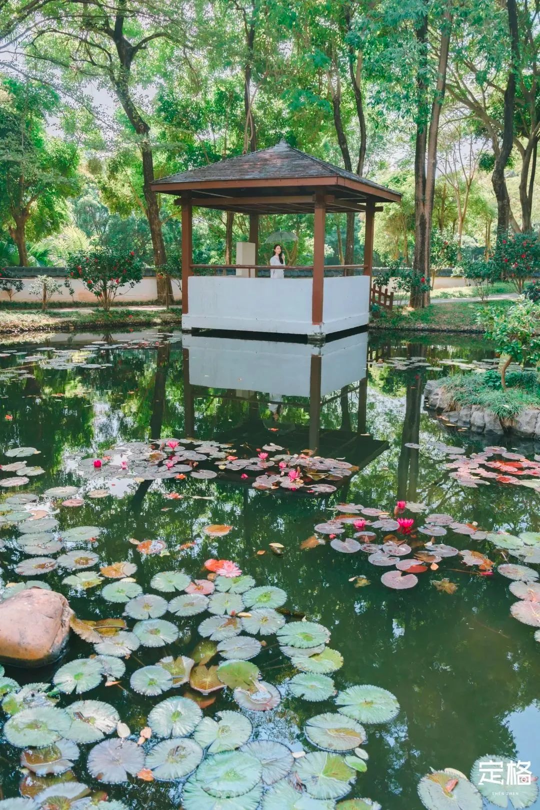 深圳4号线哪个站好玩,深圳1号线有哪些玩的地方