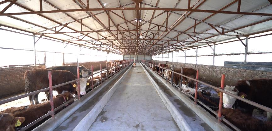 让农民春耕“不差钱”将服务扎根地垄沟——吉林银行用金融“活水”灌溉致富秧苗