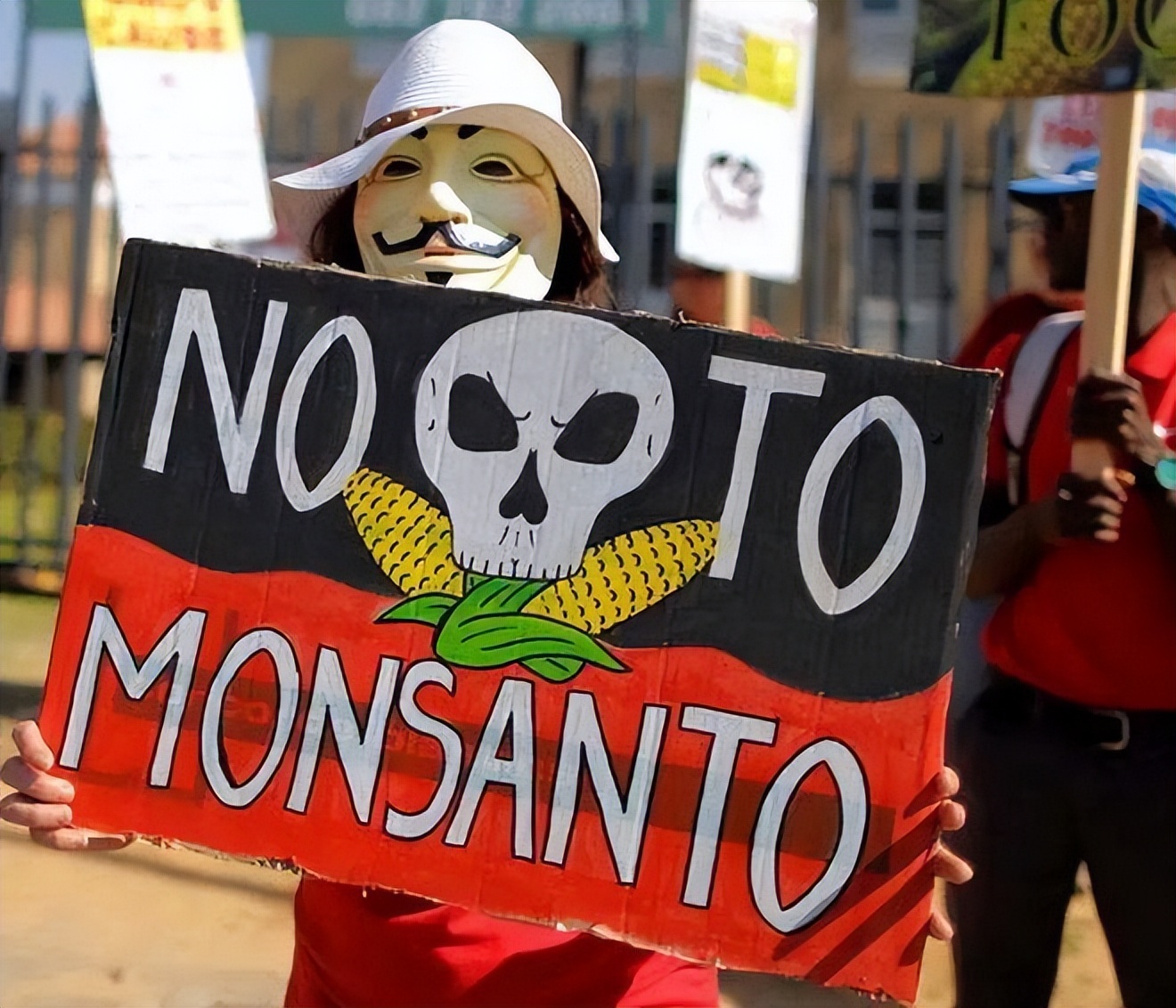 中国赠送美国大豆种子,中国大豆种子是谁送给美国的