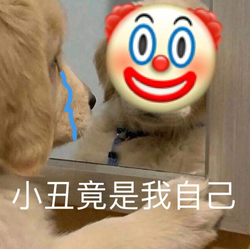 今年的网络热词,近期的网络热词有什么