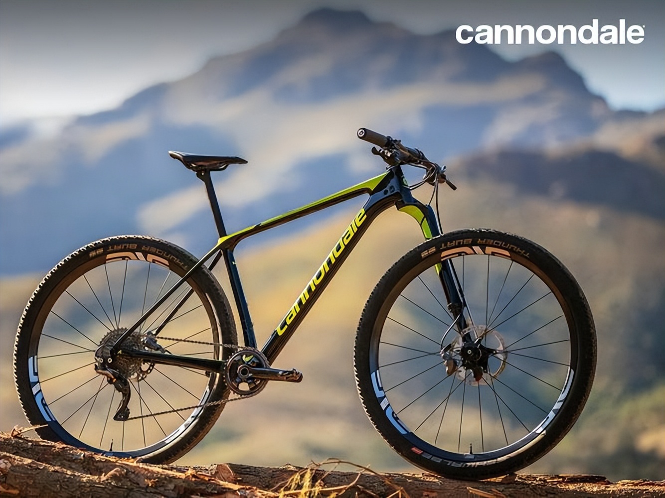 双减震儿童山地自行车十大品牌,全球山地自行车品牌排行榜前十名