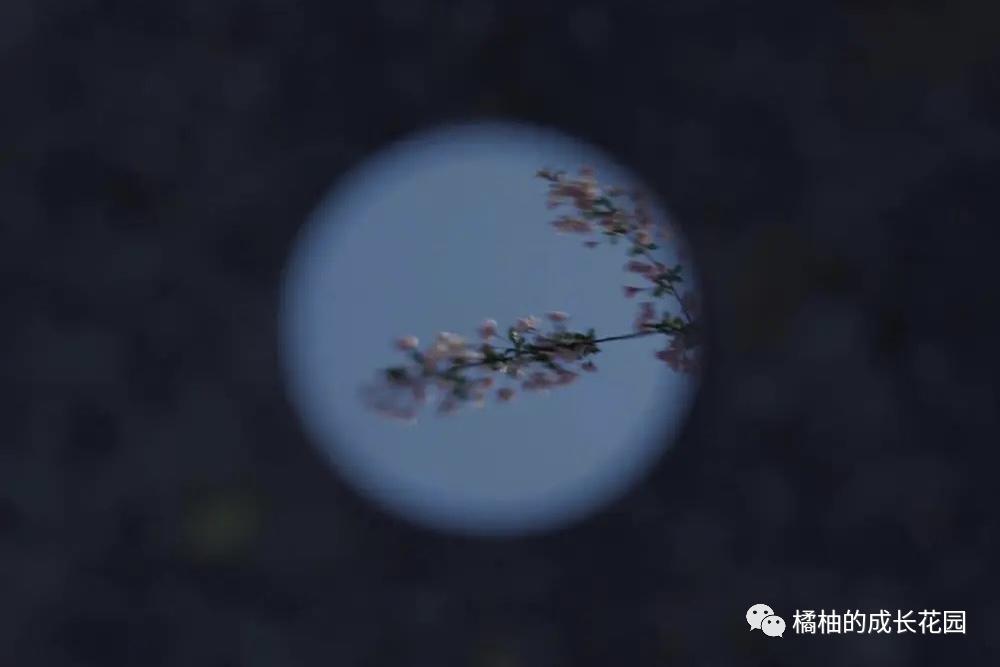 如何摆脱心理空虚,心无力怎么补