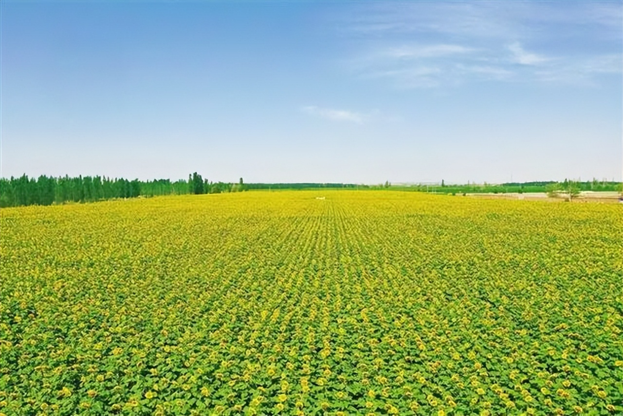 美国近期和中国的最新消息,美国有进行粮食制裁吗