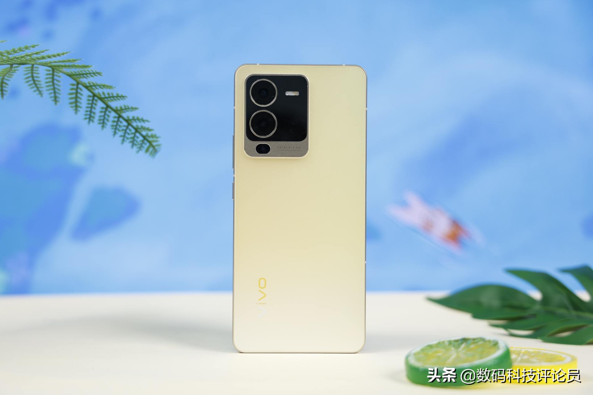 vivos15是用的骁龙870巅峰版吗,vivos15骁龙870巅峰版与普通版