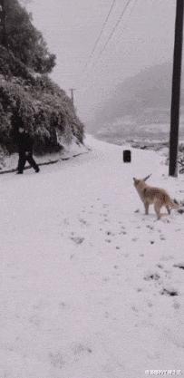 这么多年一直不明白，这键盘到底有什么用？