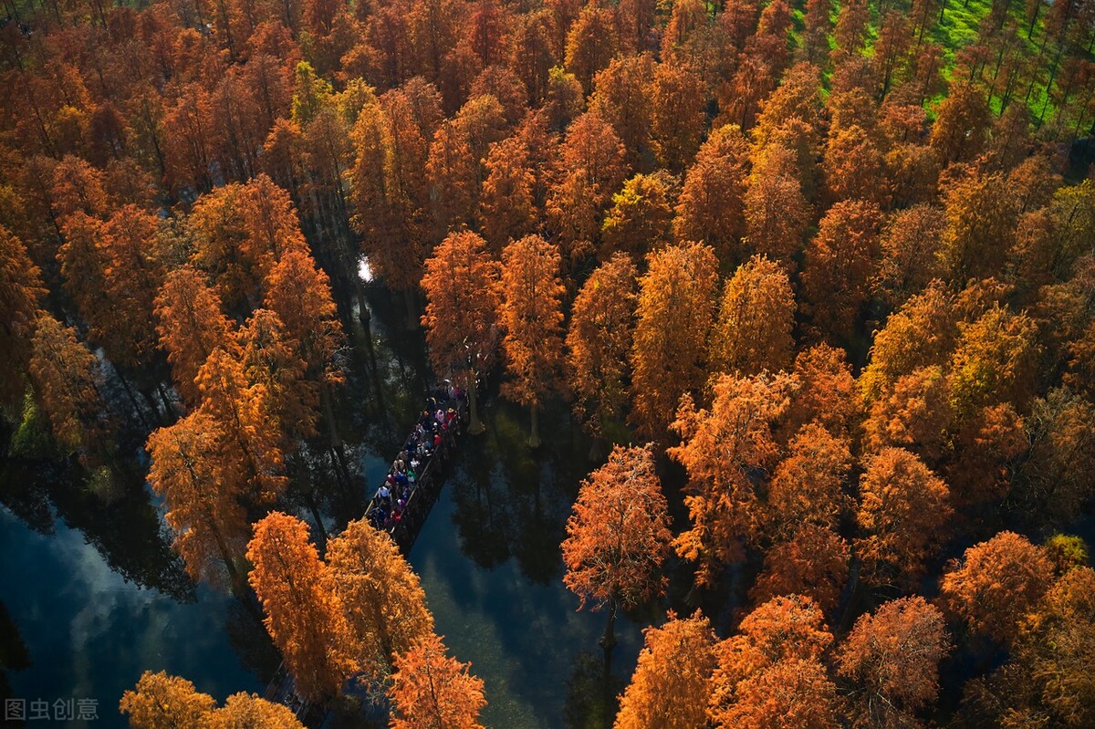 秋日上海好去处,上海秋日风景