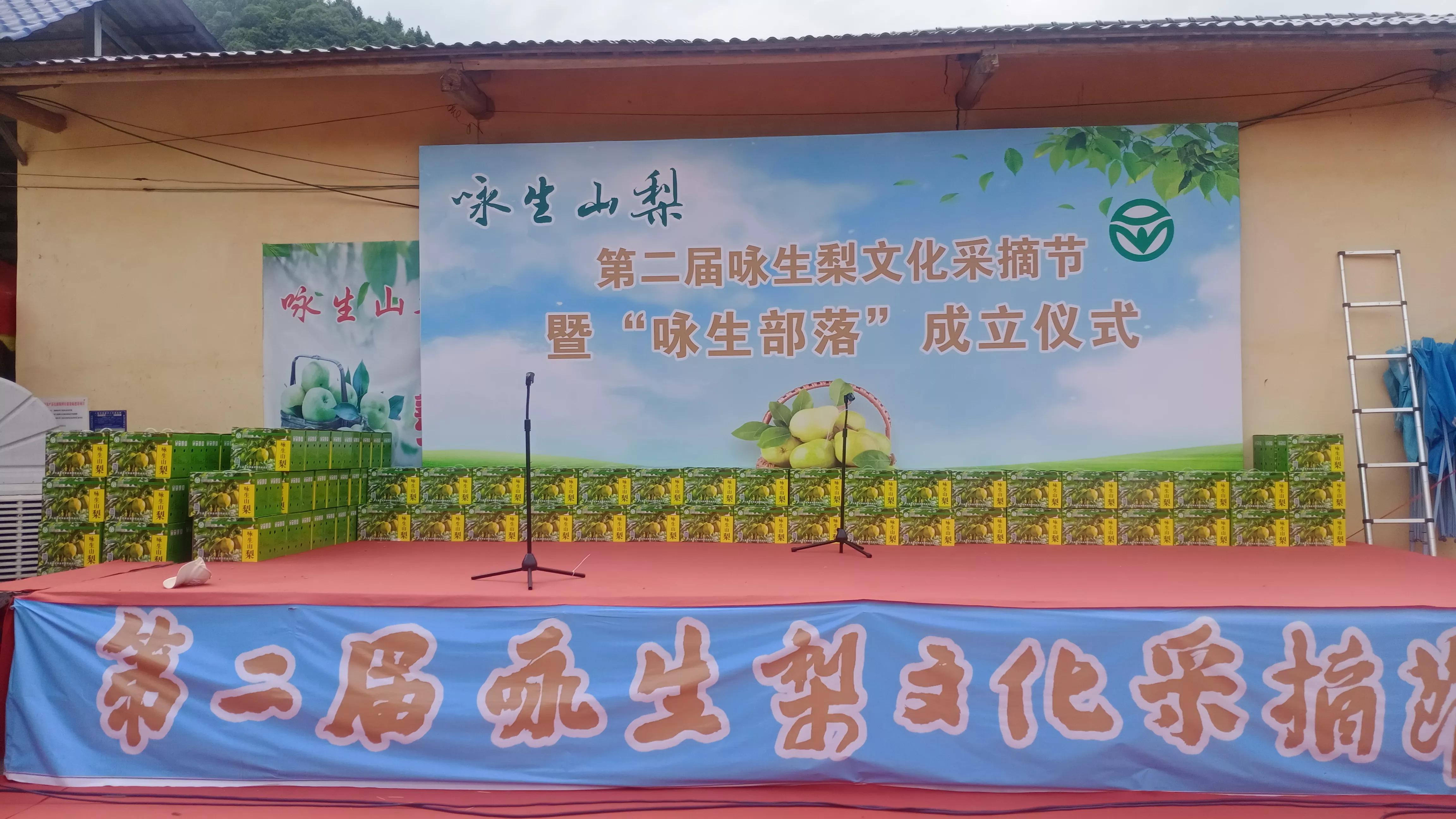 咏生部落成立暨山梨开园活动，乡镇天地助力合作共赢