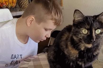 为啥猫咪老用尾巴扇我是不耐烦吗,猫咪一直扇尾巴