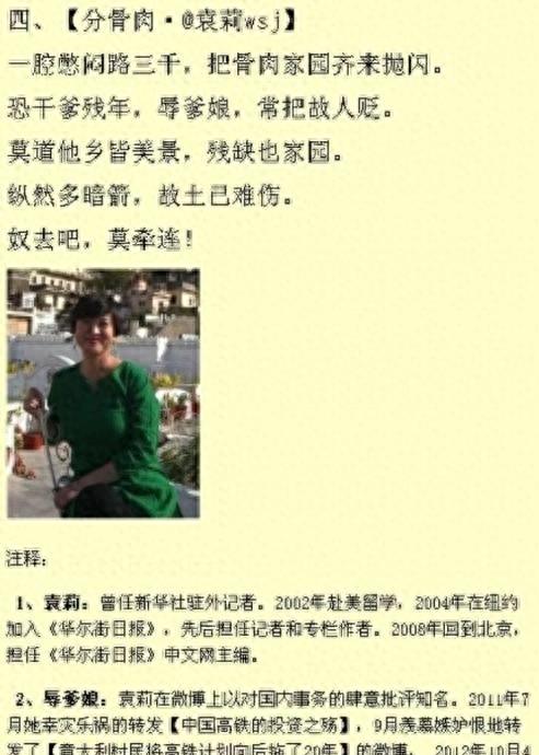 女汉奸袁莉还能回国吗,现代女汉奸袁莉