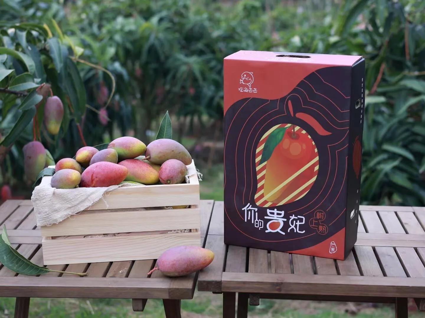 走遍田间高端水果礼盒,走遍田间高端水果礼盒怎么样