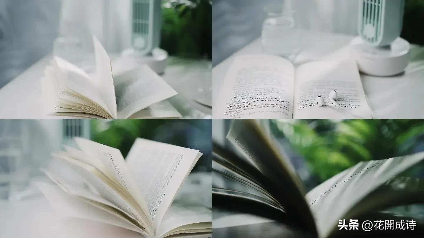 风吹哪页读哪页，哪页不懂撕哪页！