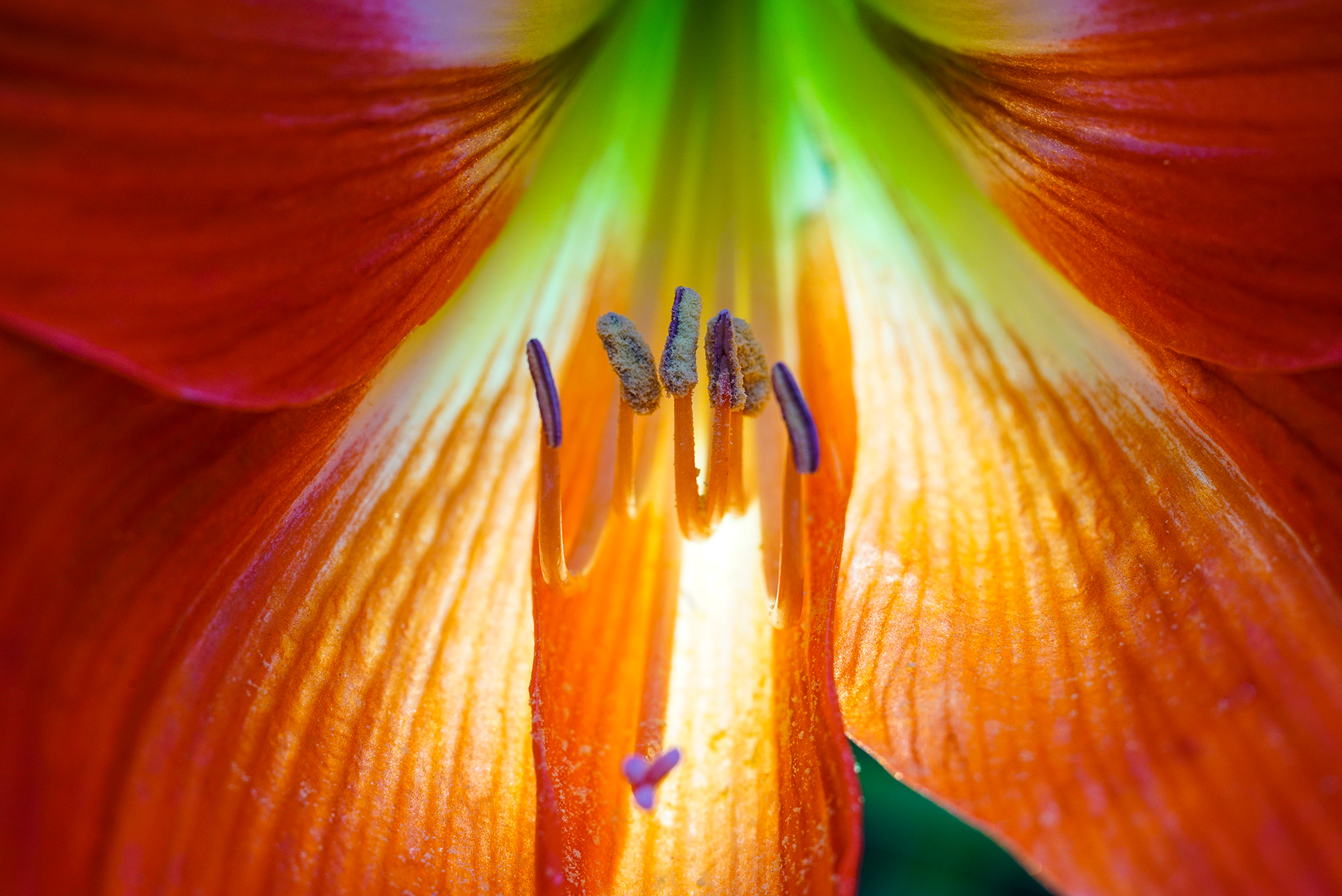 takumar55mm闀滃ご,takumar50mmf1.4闀滃ご