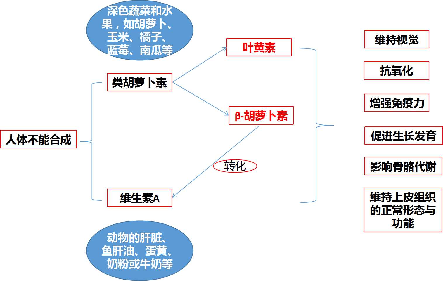 维生素a对眼睛好还是叶黄素好,维生素a与胡萝卜叶黄素是一样的