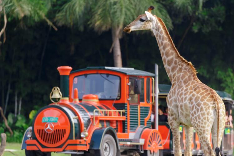 广州长隆欢乐世界酒店游玩,广州长隆欢乐世界熊猫酒店