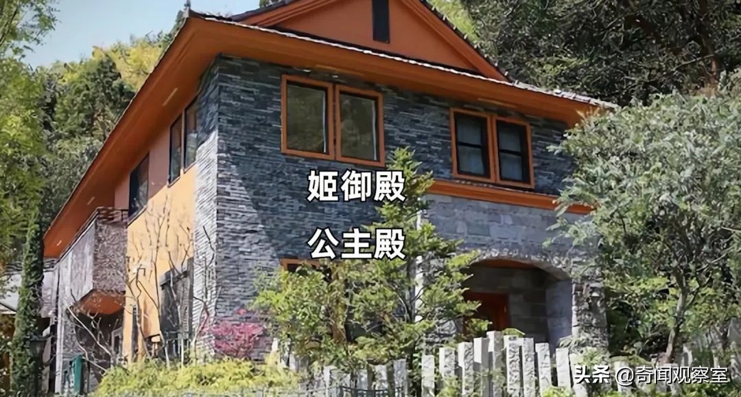 62岁老阿姨被骗18万纪实故事,最新日本诈骗老太太案件