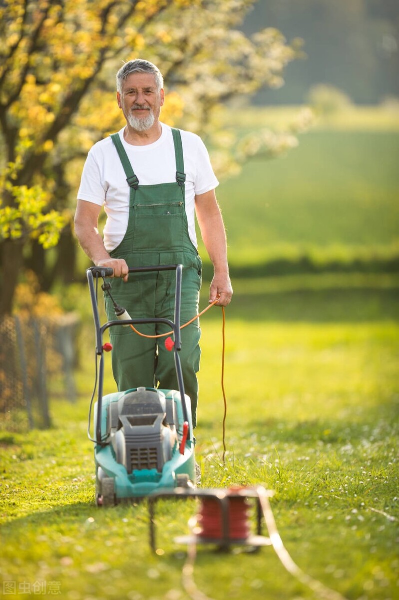 易经亢龙有悔盛极而必衰,易经中的亢龙有悔物极必反
