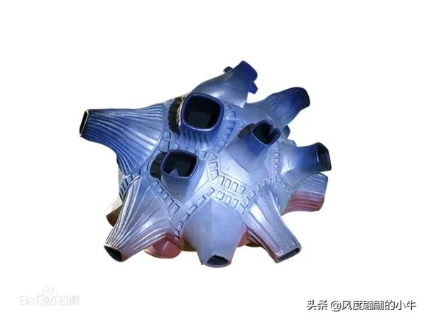 欧布奥特曼怪兽卡牌大全,欧布奥特曼对战硫酸怪兽