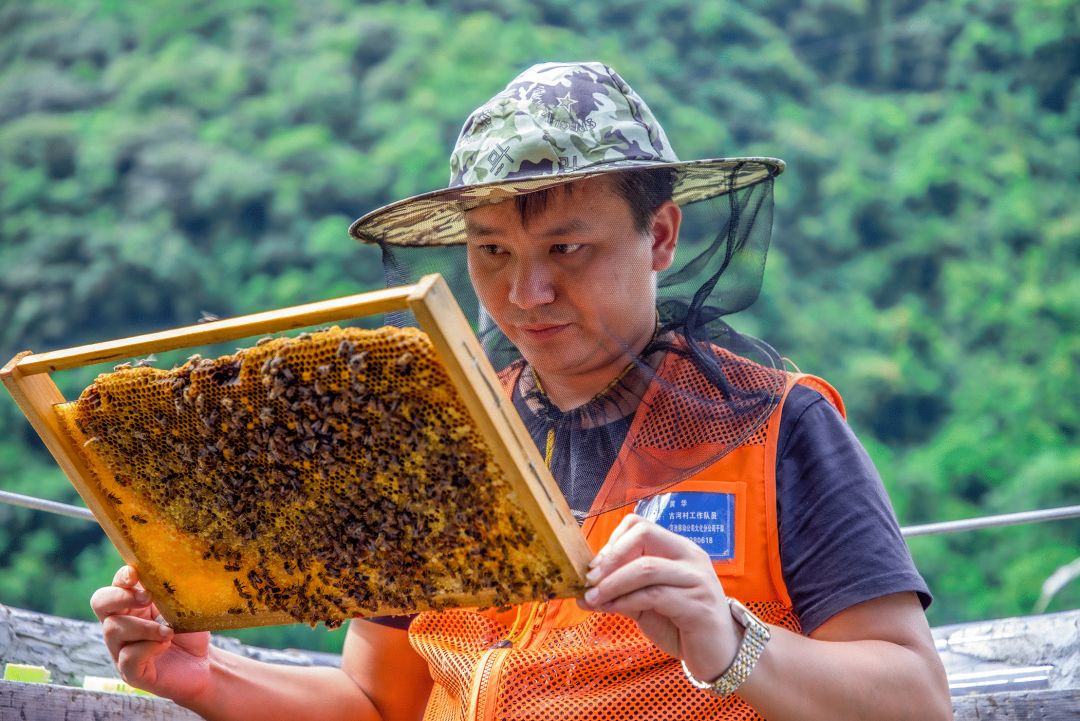 蜜甜，菜甜，幸福的生活更甜