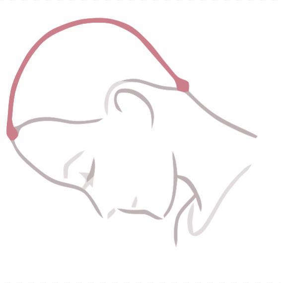 假发正确的测量长度方法,怎样选假发的规格尺寸