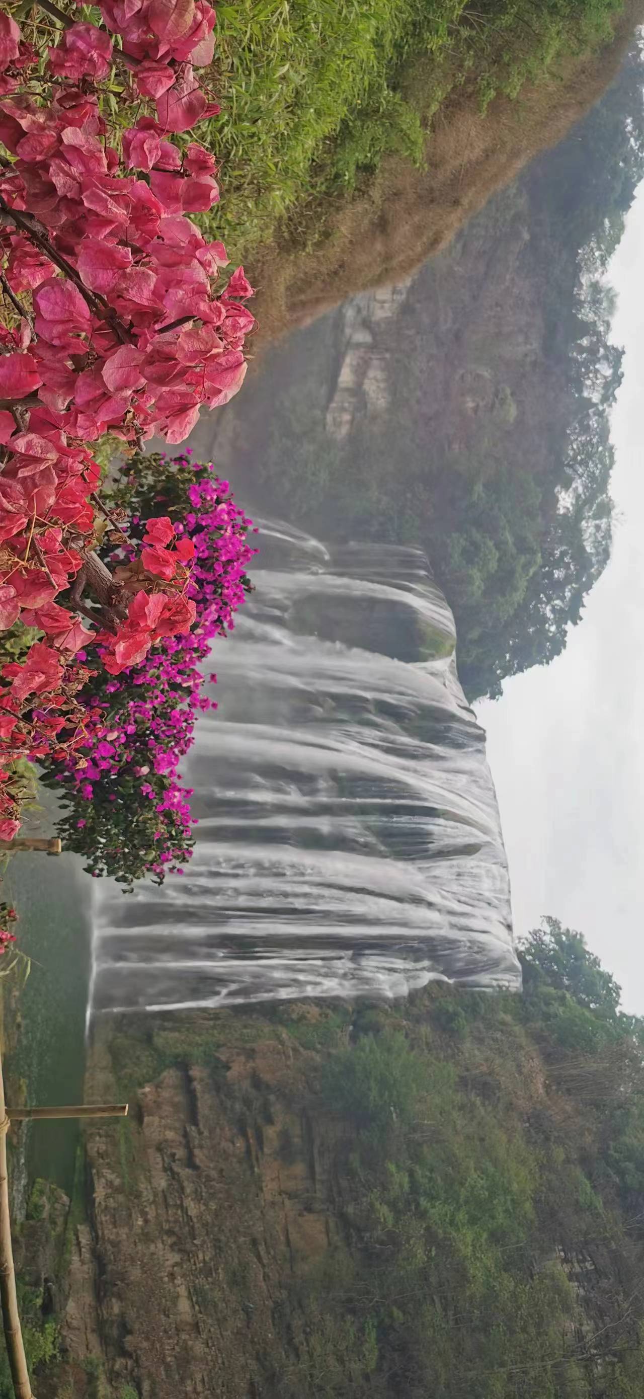 黄果树瀑布一日游作文500,黄果树瀑布一日游贵阳出发