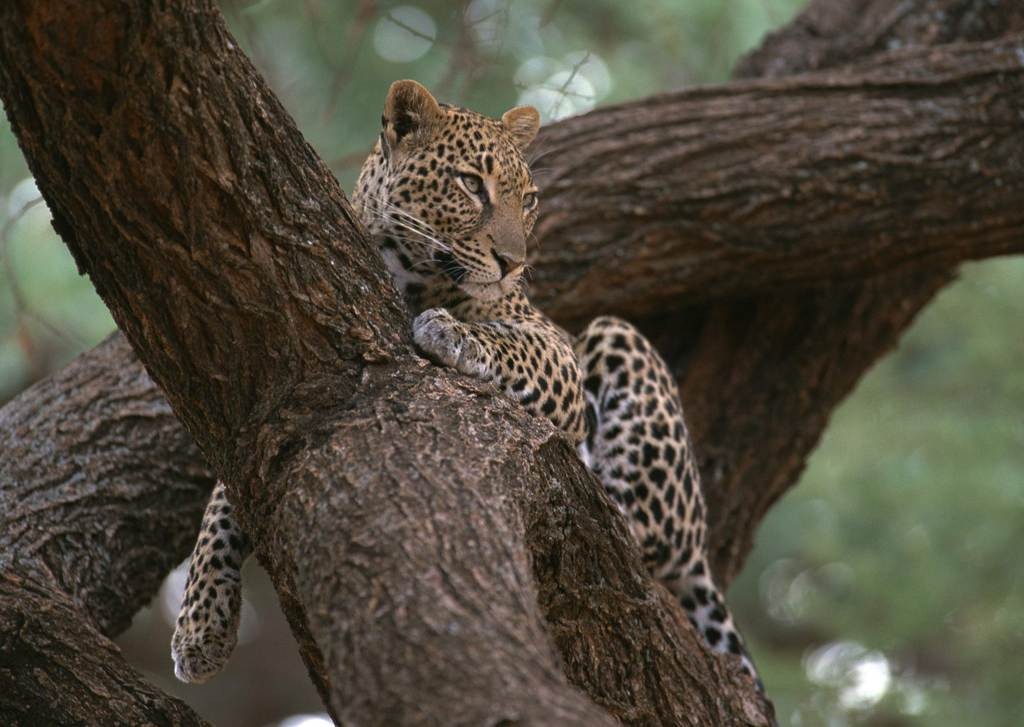 为什么会禁止三轮车搭客,农民注意这4种东西被严查