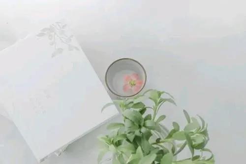 往事清零往后余生过好每一天,往事一去不复返珍惜当下的每一天