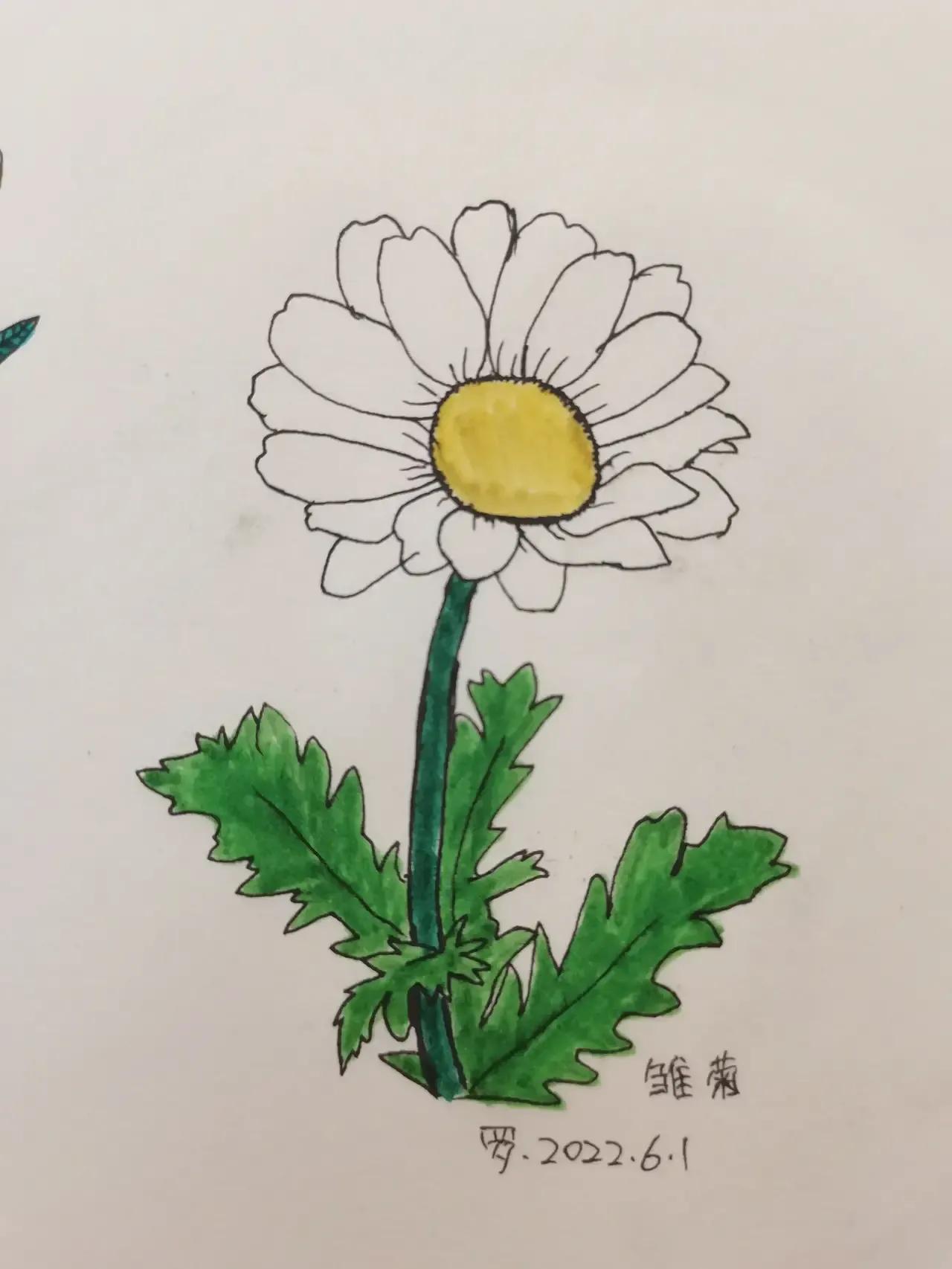 自学画画几年才有成果,自学画画一星期