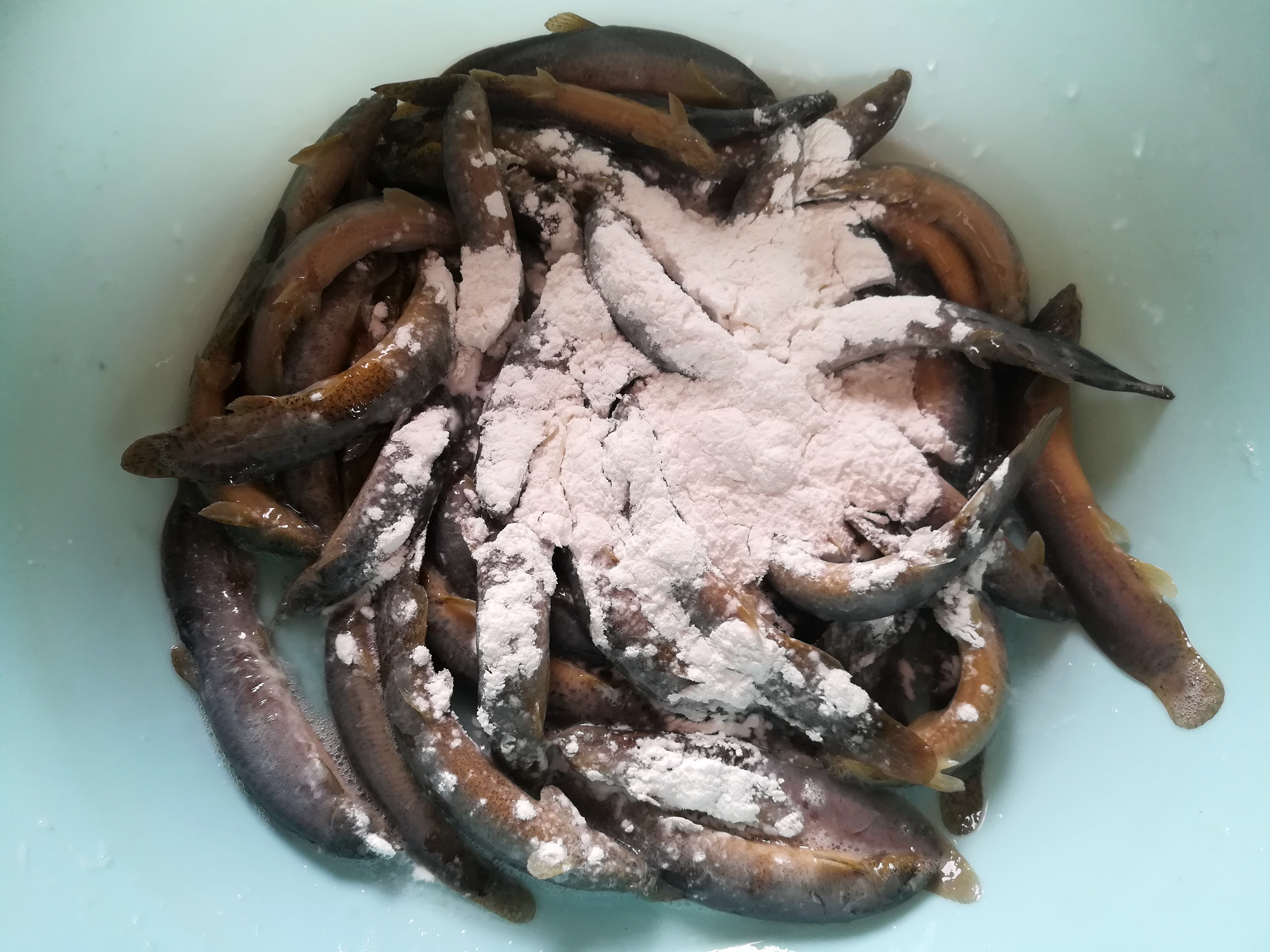 泥鳅含钙,泥鳅钙含量是多少