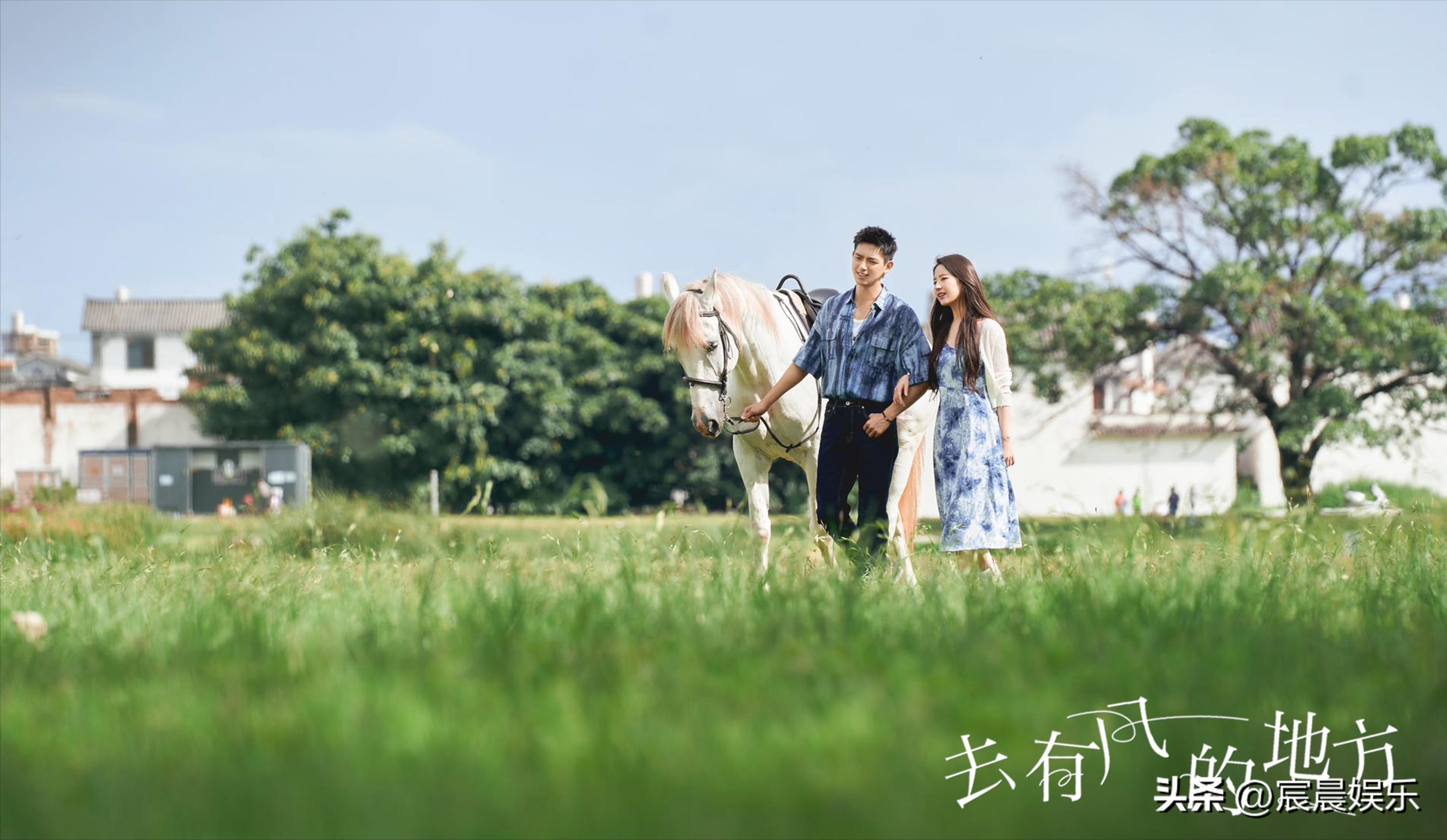 盘点5部全剧无虐的爱情剧,最受期待的4部治愈爱情剧