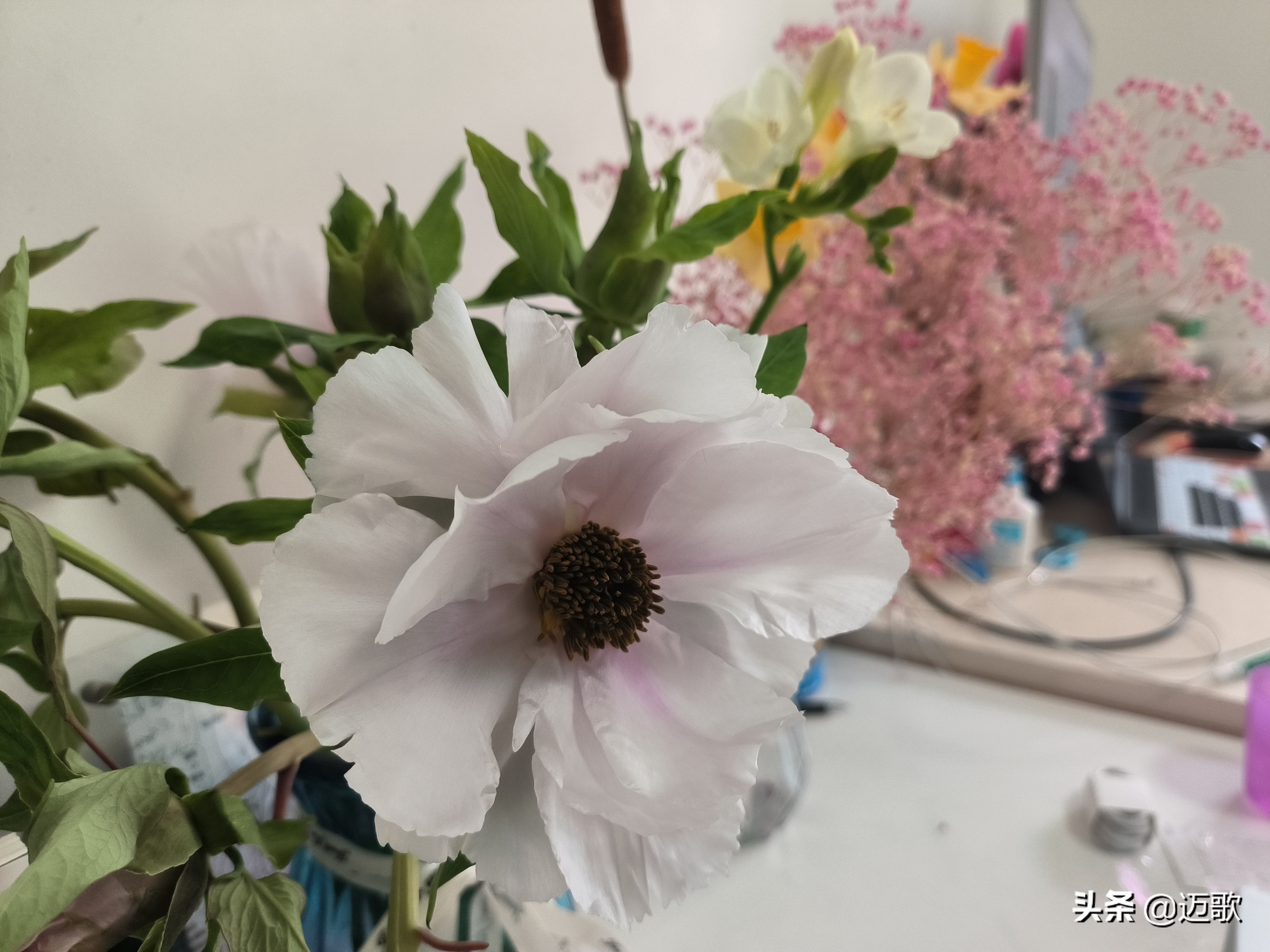 k50至尊版2024还值得入手吗,k50有啥短板