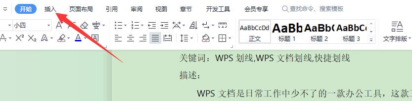 怎么在Wps文档上划线,快捷划线的操作步骤