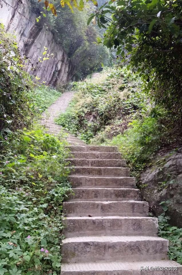 翠华山爬山攻略,翠华山爬山攻略一日游