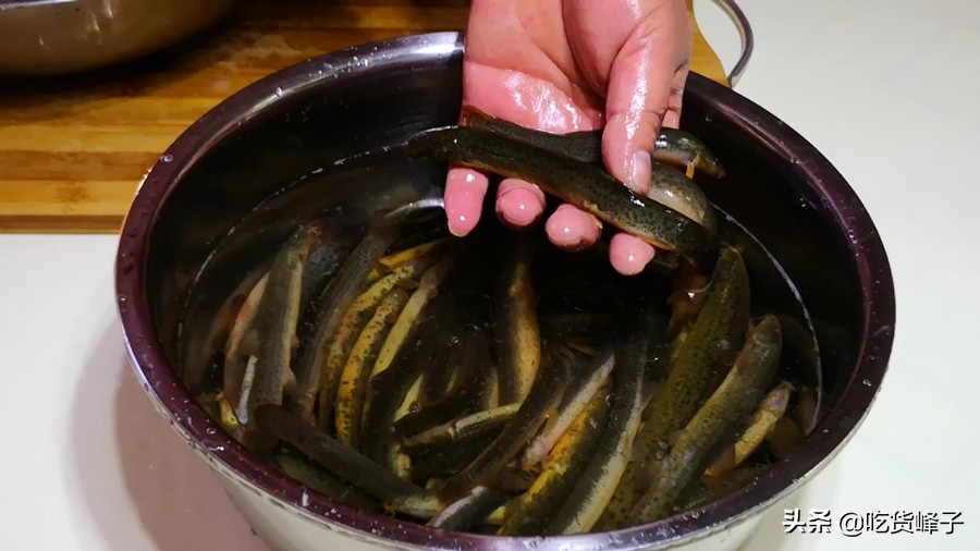 泥鳅美味营养价值还非常高,所有的泥鳅都有很高的营养价值吗