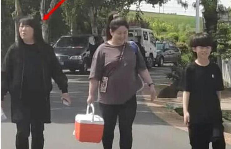 赵本山和葛淑珍近照,赵本山离了几次婚