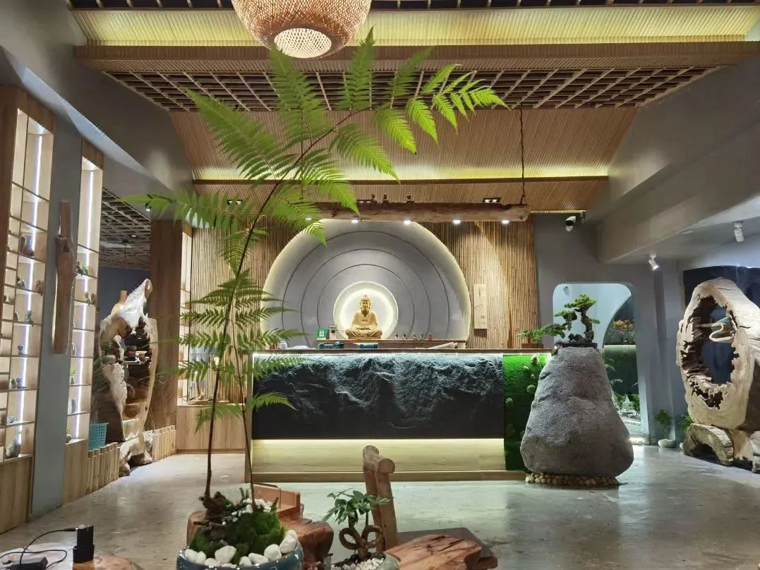 拍照好看民宿附近,拍照好看的民宿酒店