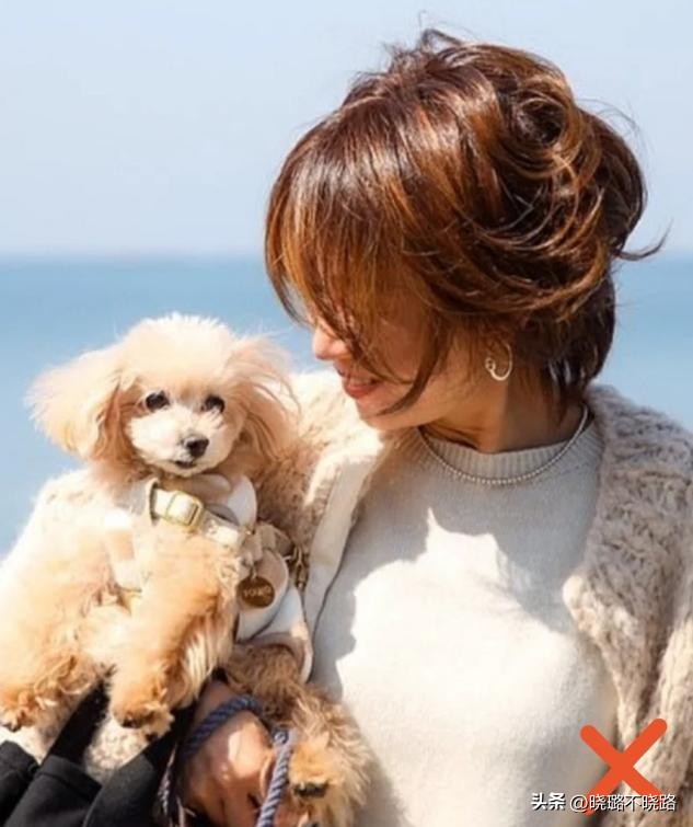 适合圆脸女生的羊毛卷短发减龄,适合发量超多的羊毛卷短发