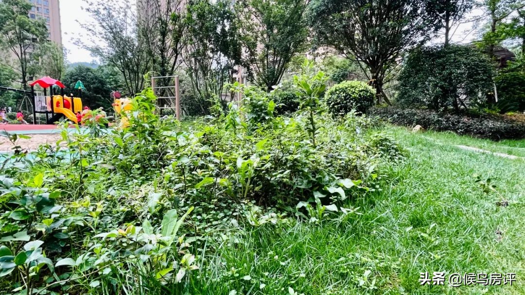 贵州之光最新消息,贵州之光几个地块