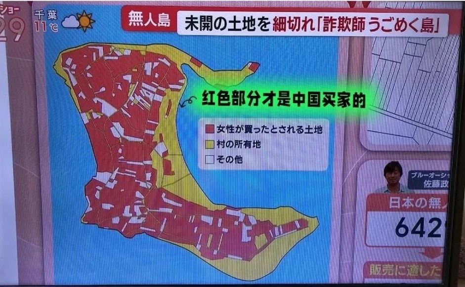 中国女子买日本无人岛变“杀猪盘”？1500万买720块零碎地皮！