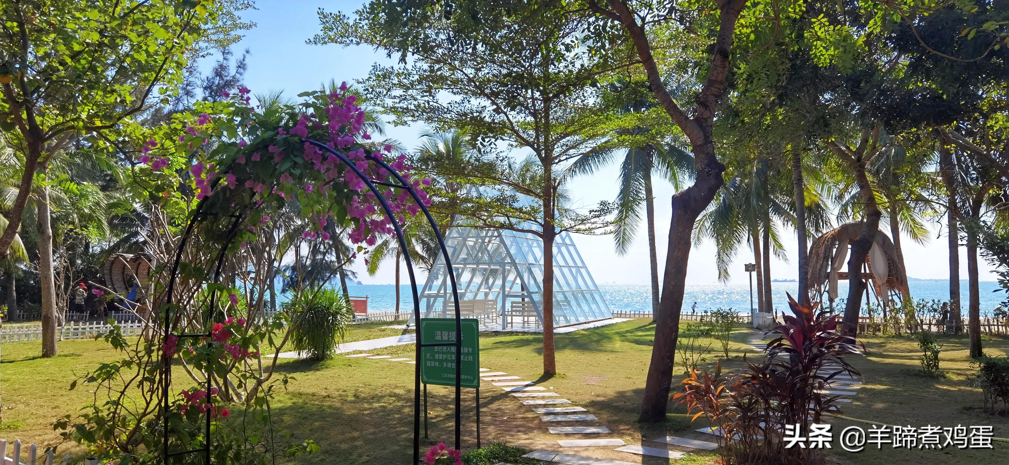 三亚椰梦长廊日落绝美,三亚湾椰梦长廊看夕阳最佳观赏点